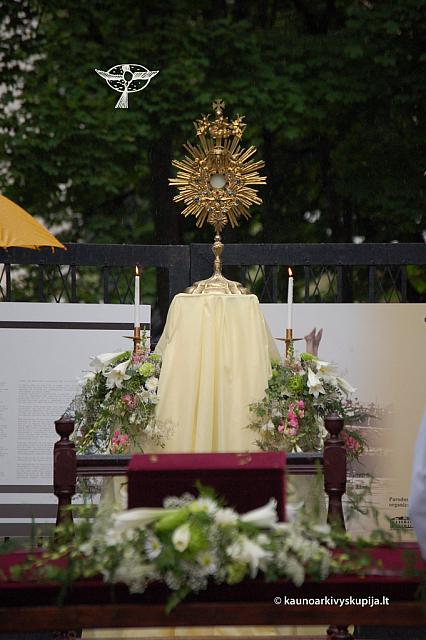 2011 devintines 0278 ds