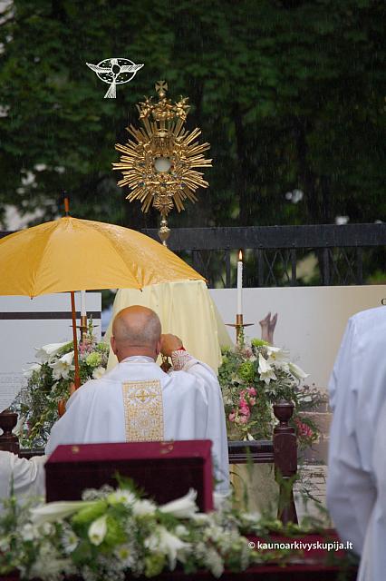 2011 devintines 0289 ds