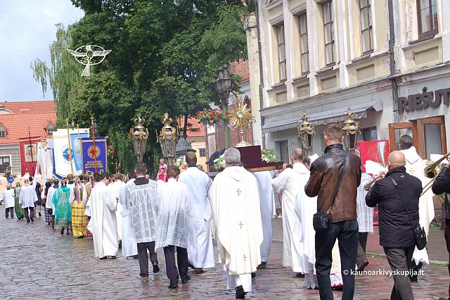 2011 devintines 1046 ds