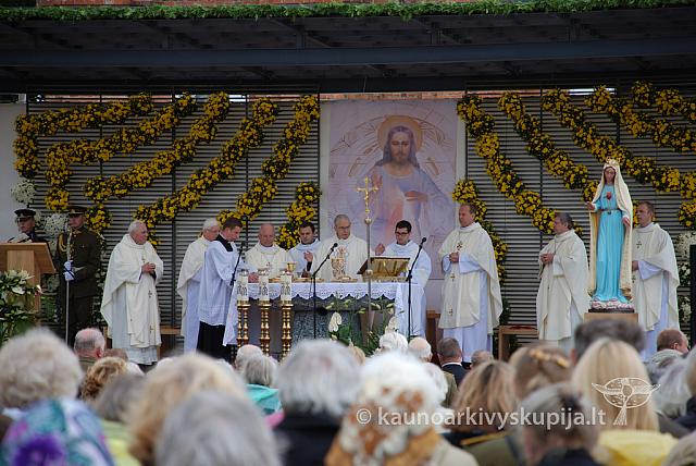 20110908 silines 0005 dch