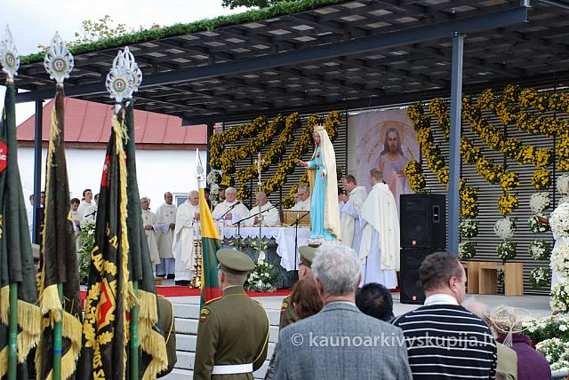 20110908 silines 0013 dch