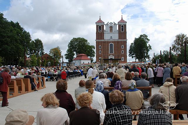 20110908 silines 0028 dch