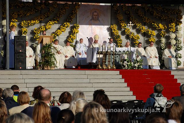 20110908 silines 0068 dch