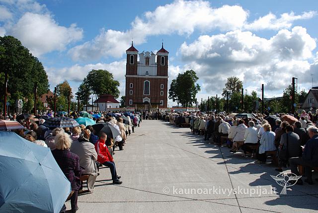 20110909 silines 0112 dch