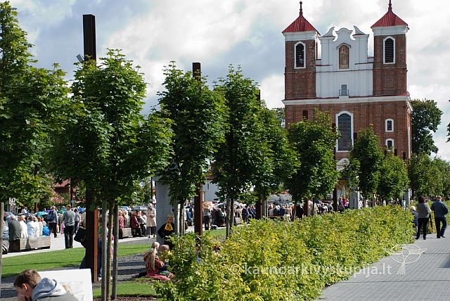 20110909 silines 0121 dch