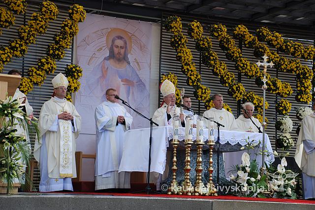 20110909 silines 0147 dch