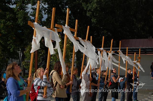 20110910 silines 2976 rj