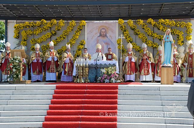 20110911 silines 0236 dch