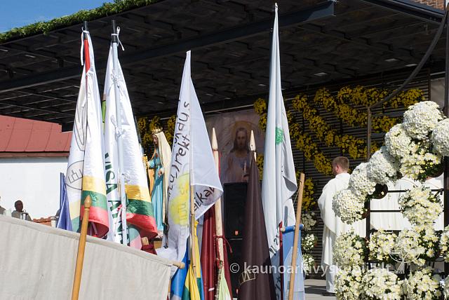 20110911 silines 0288 dch