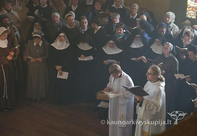 20110914 silines 0022 dch