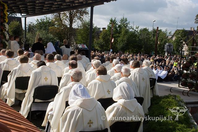 20110914 silines 0183 dch