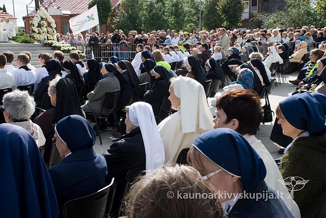 20110914 silines 0252 dch