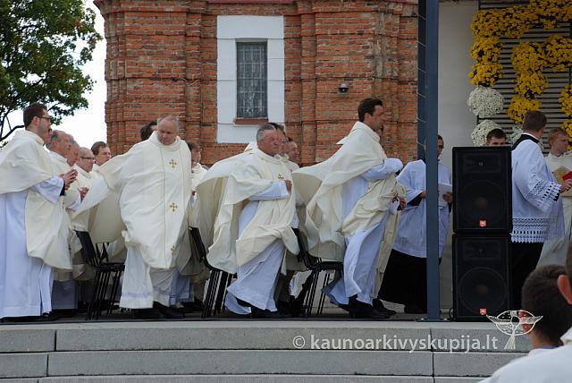 20110914 silines 0254 dch