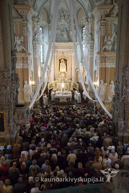 20110915 silines 0383 dch