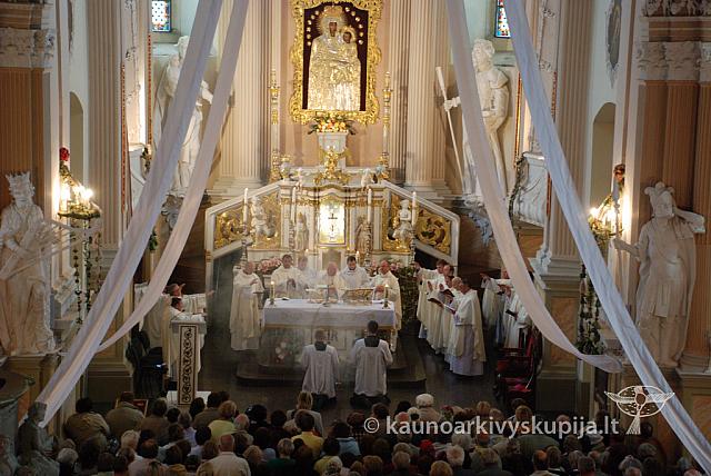 20110915 silines 0385 dch