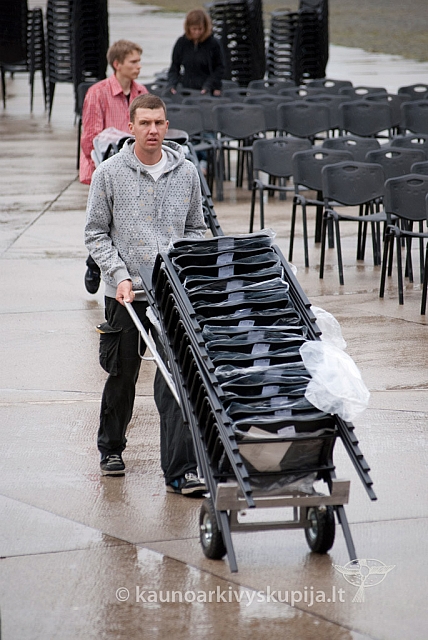 20120906 silines 0832 ms