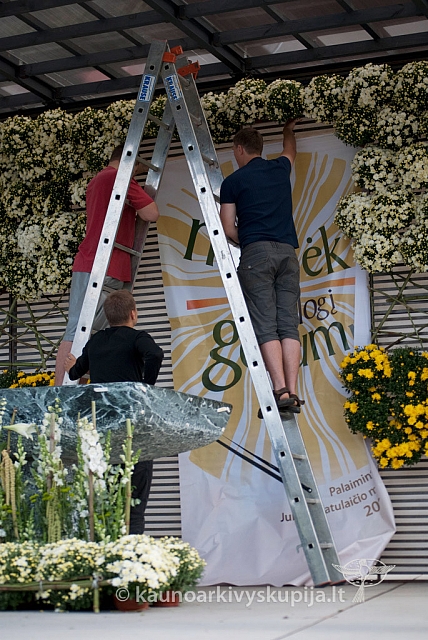 20120906 silines 0860 ms