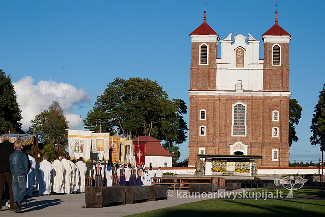 20120906 silines 0979 ms