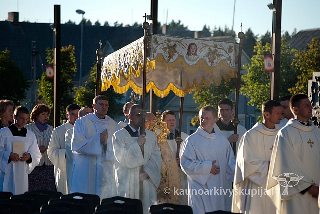 20120906 silines 0998 ms