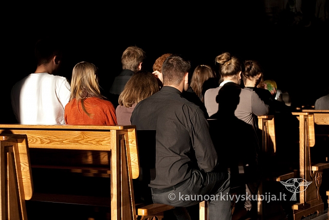 20120906 silines 1011 ms