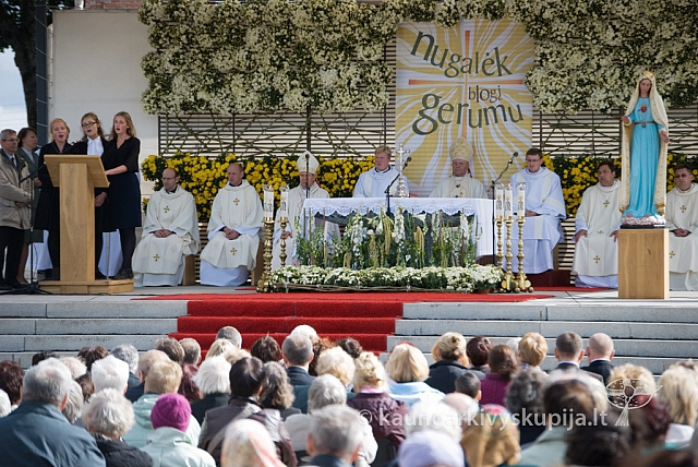 20120908 silines 0012 sk