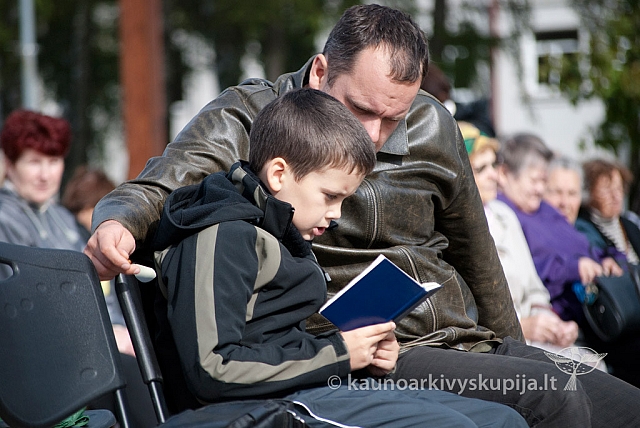 20120908 silines 0025 ms