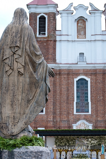 20120908 silines 0028 ms