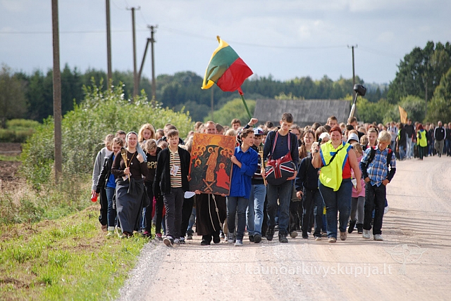 20120908 silines 0135 ms