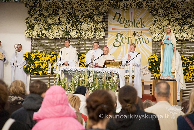 20120908 silines 0217 sk