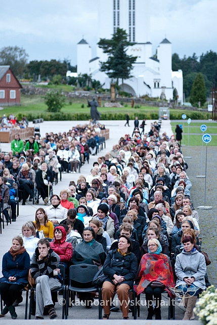 20120908 silines 1576 ms