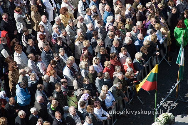 20120909 silines 0299 sk