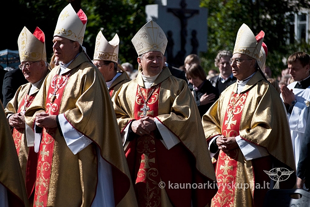 20120909 silines 0316 ms