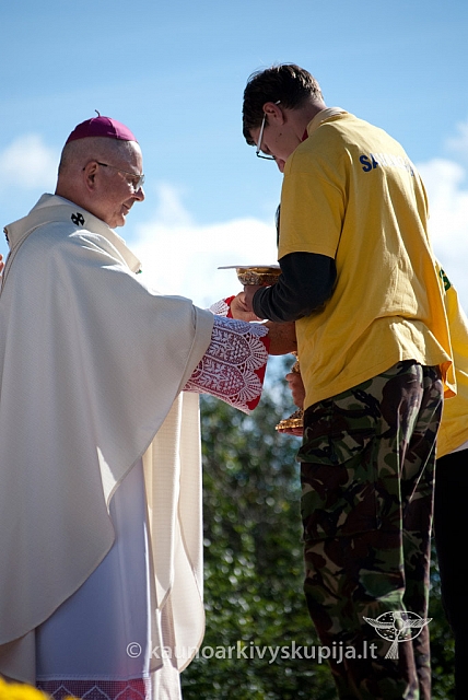 20120909 silines 2026 ms