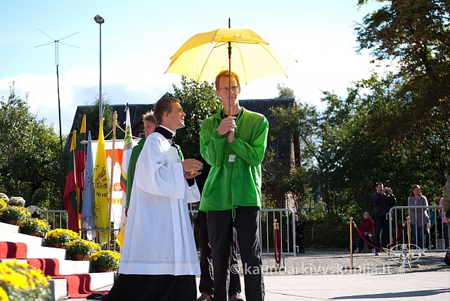 20120909 silines 2073 ms