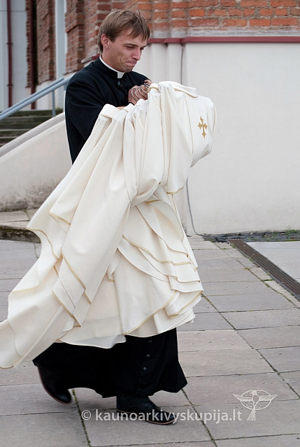 20120912 silines 2566 ms