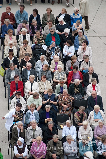 20120912 silines 2575 ms