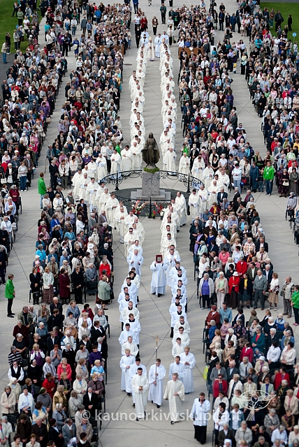 20120912 silines 2622 ms