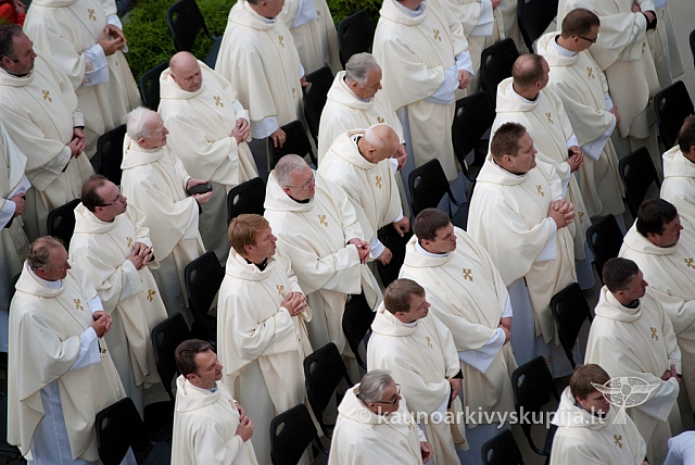 20120912 silines 2672 ms