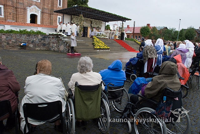 20120913 silines 0008 dch