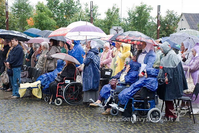 20120913 silines 0011 dch