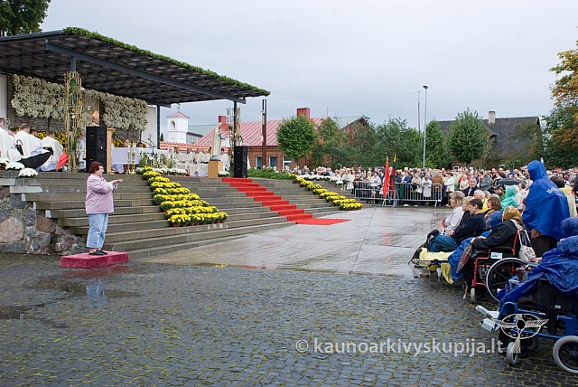 20120913 silines 0047 dch