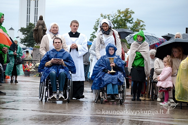 20120913 silines 0060 ms