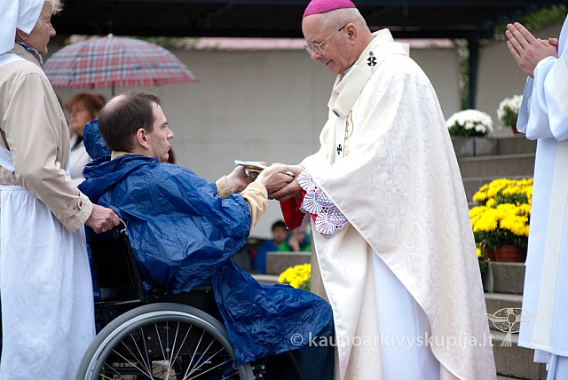 20120913 silines 0062 ms