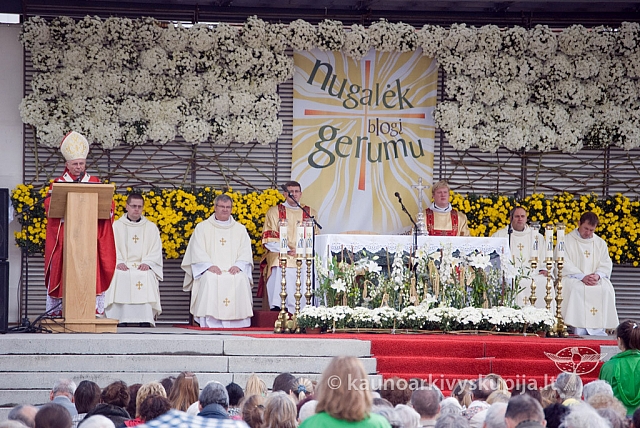 20120914 silines 0063 sk