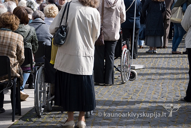 20120914 silines 0079 sk