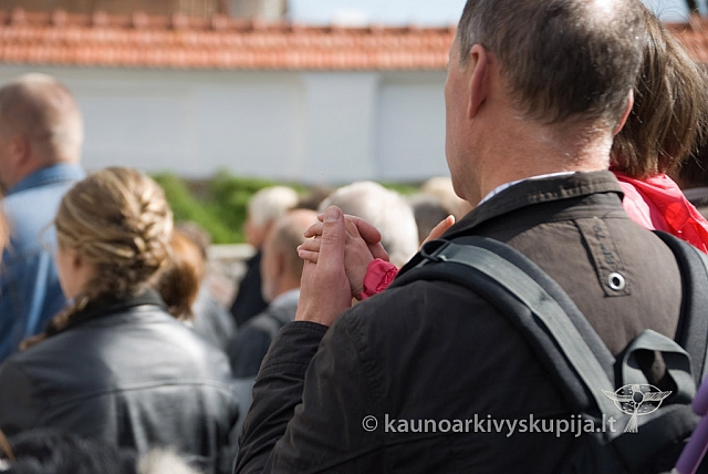 20120914 silines 0099 sk