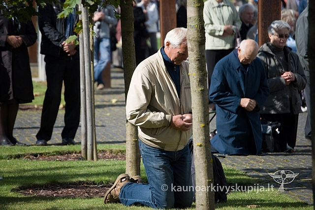 20120914 silines 0103 sk