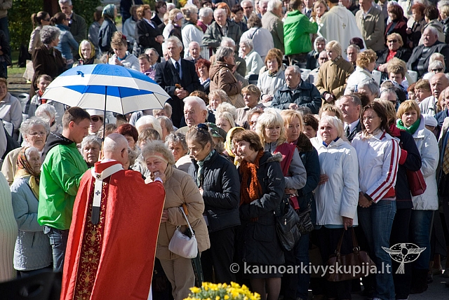 20120914 silines 0111 sk