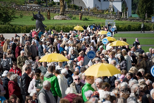 20120914 silines 0115 sk