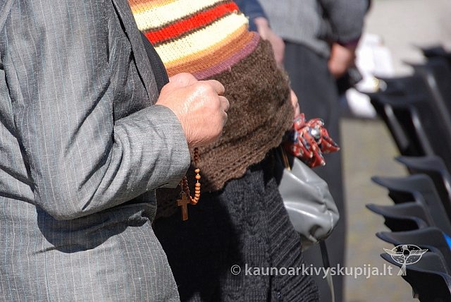 20120914 silines 0138 sk